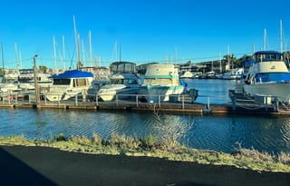 Class B Solis 59P: Nimble Class B Freedom