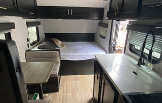 Forest River Cherokee Wolf Pup Black Label