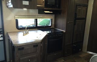 2016 Rockwood Mini Lite