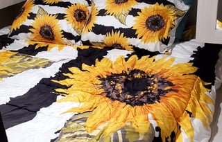 Home away from home 2!