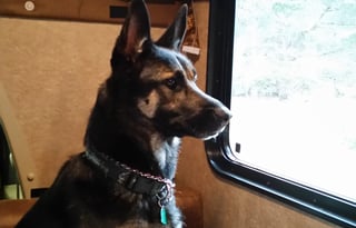 We love traveling in this RV.. and you will too!