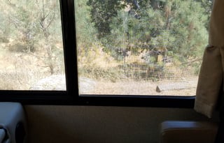 Class A - 2016 Windsport 29M - has everything