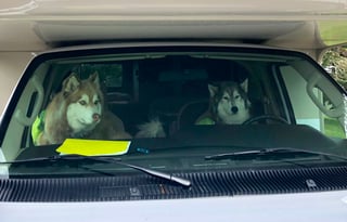 "Thor" The Fully Loaded Oregon Adventure Machine