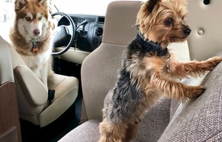 "Thor" The Fully Loaded Oregon Adventure Machine