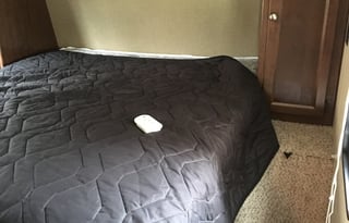 Simple, roomy cozy camper