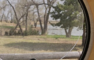 Jezebelle, the Teardrop Trailer