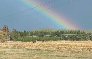 Jezebelle, the Teardrop Trailer