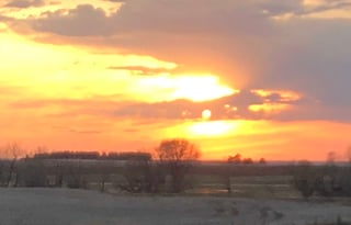 Jezebelle, the Teardrop Trailer