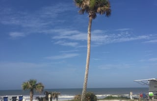 2014 Berkshire Forest River BH