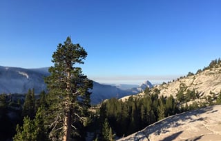 2016 Flagstaff Shamrock