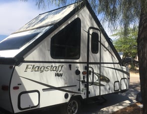 Forest River RV Flagstaff Classic 425D