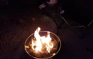 New 2019 Terry Classic V22 Retro