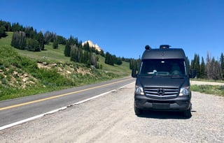 Little Gray Lady of the Road