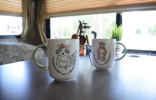 2007 Coachmen Freelander