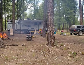 Dutchmen RV Coleman Expedition CTS314BH