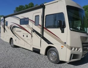 Forest River RV Georgetown 3 Series 30X3
