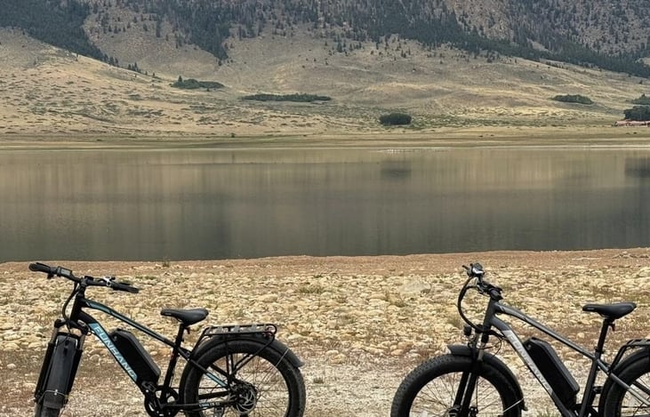 Ebikes for use