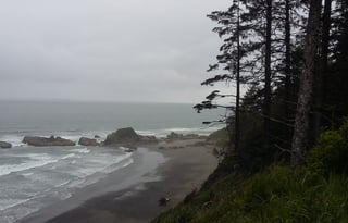 4WD All-Season "Rosie" UNLIMITED MILES + Starlink