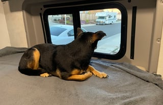 2023 Winnebago Solis 59PX