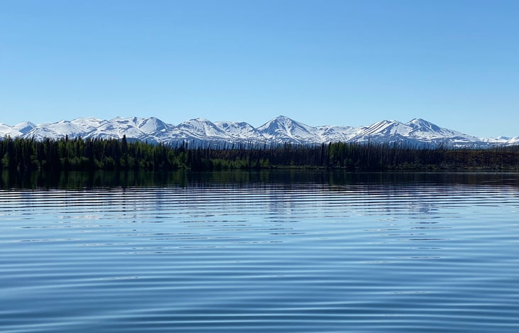 Serene and beauty. Enjoy the quiet canoeing or kayaking on Kelly or Petersen Lake. Both are down the same road in Cooper Landing