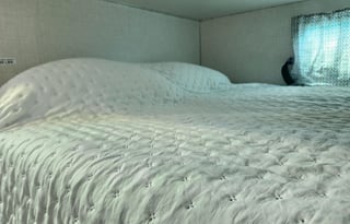 'Bout Time for Good Times!