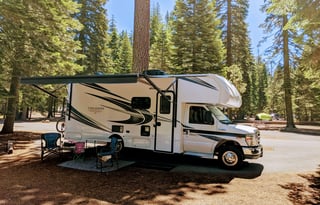 NeXus RV Triumph 24T