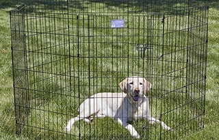 Modern Family & Pet Friendly North Trail Ultralite