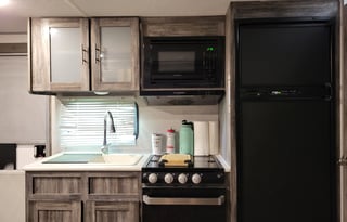 Sophie and Ode Pet Friendly & Kid Approved RV