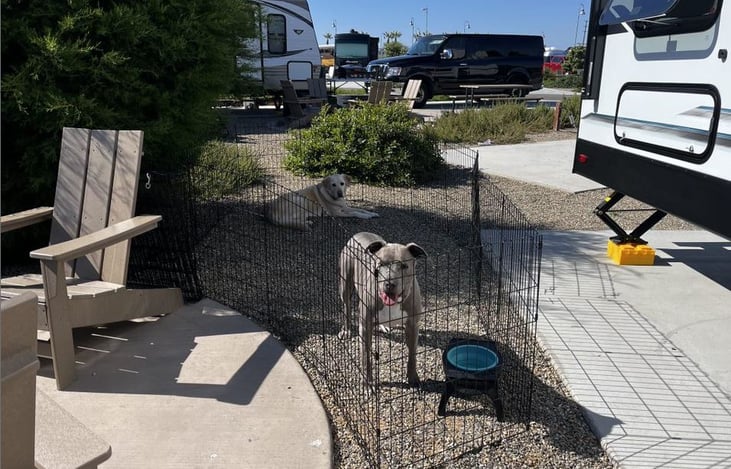 xpen - (3) 60x60x30 inch pens + (1) 60x60x24 inch pen