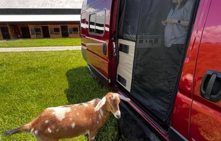 Renter at Harvest Host in KY