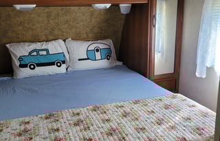 2013 Coachmen Forest river