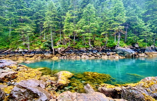 2013 Winnebago Chalet 31RJ