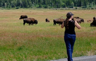 24 Winnebago Revel ALPINE FREE P/U +MILES+STARLINK