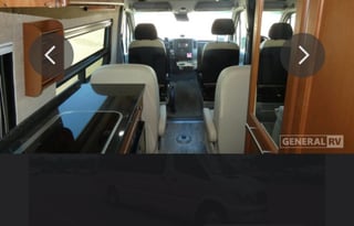 Mama Drives Pets in her Mercedes Motorhome
