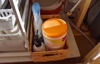 Ruthie the 2019 Dodge ProMaster Camper Van