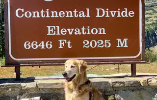 2022 Thor Class B Rize 18M