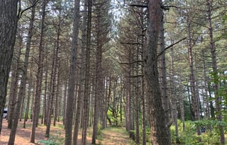 2021 Winnebago View - All Inclusive Adventure!