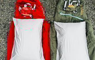 Clifford the Big Red Van