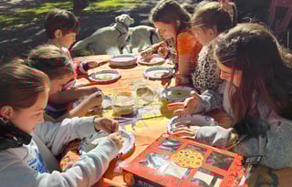 Beau Skye and Willow Dawn's Dog Friendly RV Rental