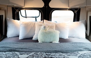 2023 Thor Motor Coach Tellaro 20A