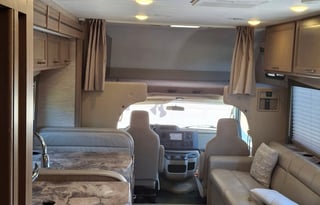 Travel Bear is ready to make new memories.