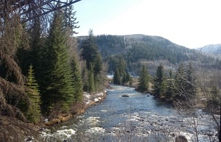 4WD All-Season "Judy" UNLIMITED MILES + Starlink