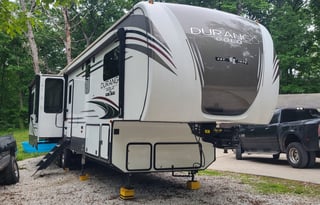 Marigold, Pet & Kid Friendly Fun