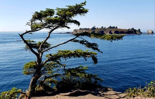 "Casita De Camino"  Ready for a Great Adventure