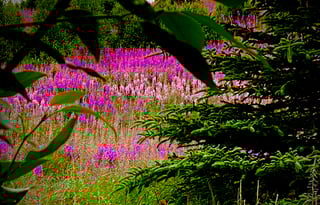 2013 Winnebago Chalet 31RJ