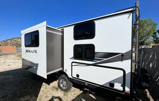 Beautiful Palomino RealLite  Great for a families!