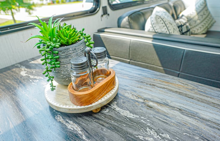 Salt, pepper, and a succulent!