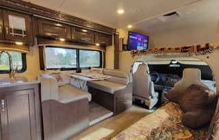 The Bear Necessities