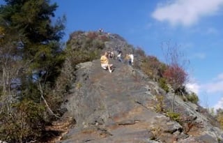 2019 Mercedes Benz Sprinter 2500