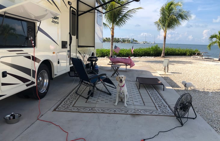 At Cedar Key with the pups.